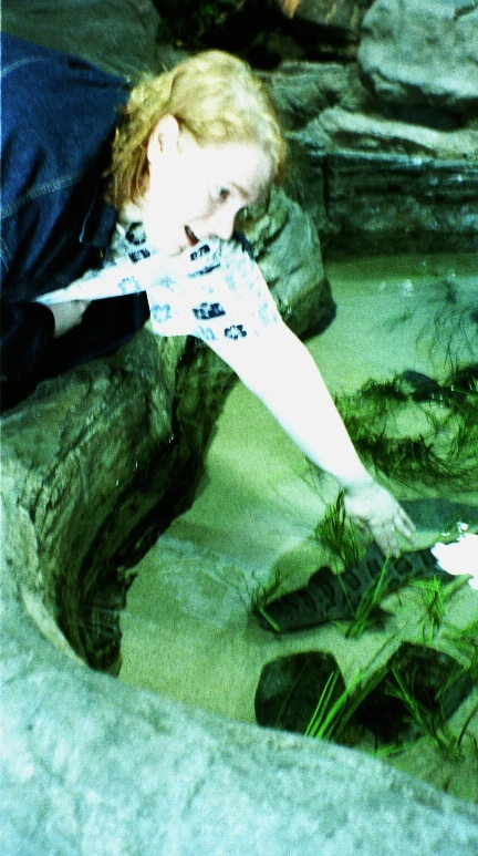 Petting a leopard shark at pier 39 aquarium